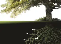 Observers say the market suffers from a lack of transparency and oversight, and creates opportunities for countries to disguise dubious deals.