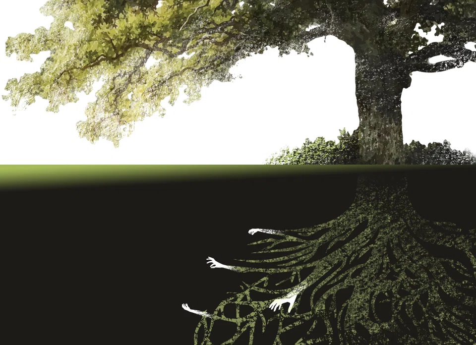 Observers say the market suffers from a lack of transparency and oversight, and creates opportunities for countries to disguise dubious deals.