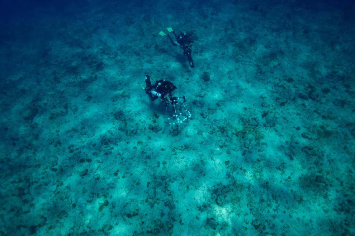 The financial sector and businesses should collaborate to address funding and data gaps to unlock the potential of oceans for lasting growth.