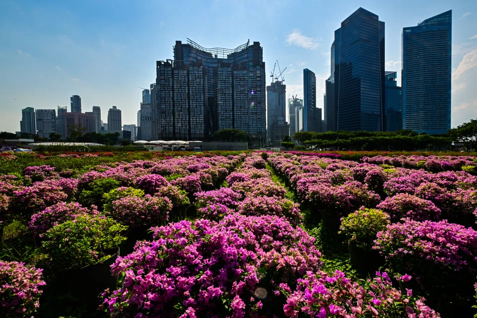 The new Bill applies mainly to a designated list of critical entities, meaning that most of the market remains open to investment, say market watchers.