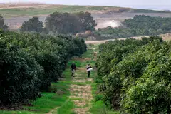 Before Oct 7, about 80,000 Palestinian workers were employed in the construction industry in Israel, says Shay Pauzner, a deputy director for the builders association. They were joined by 18,000 foreigners from Eastern Europe and China, and an additional 200,000 Israelis.