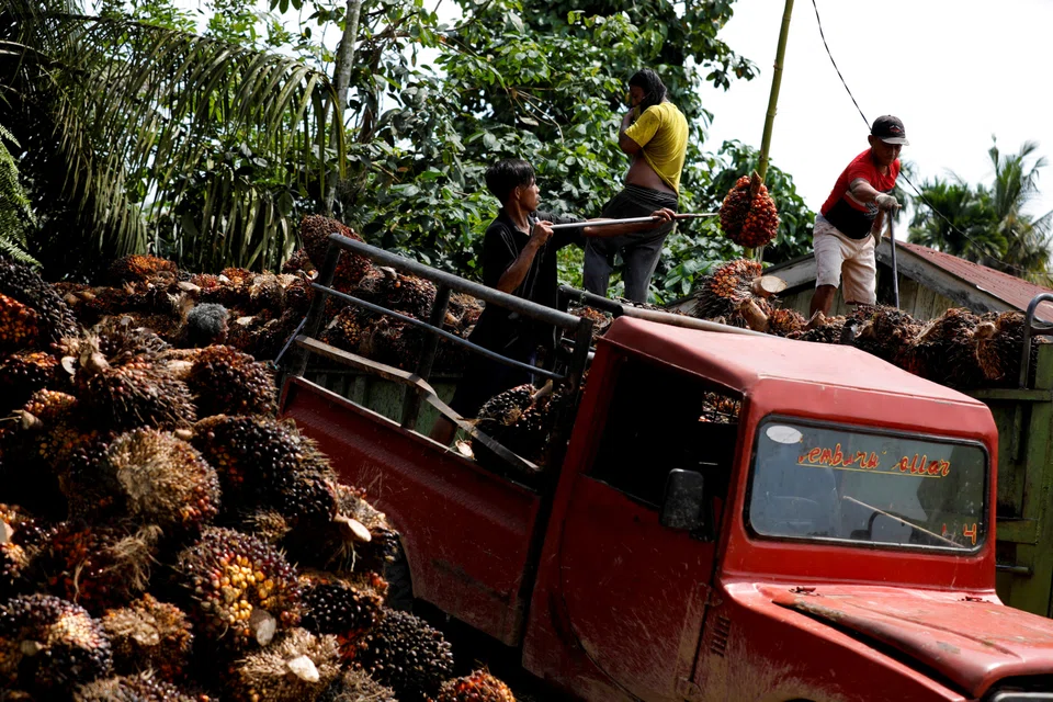 The latest data from the Indonesia Palm Oil Association showed inventory stood at 6.68 million tonnes at the end of June.