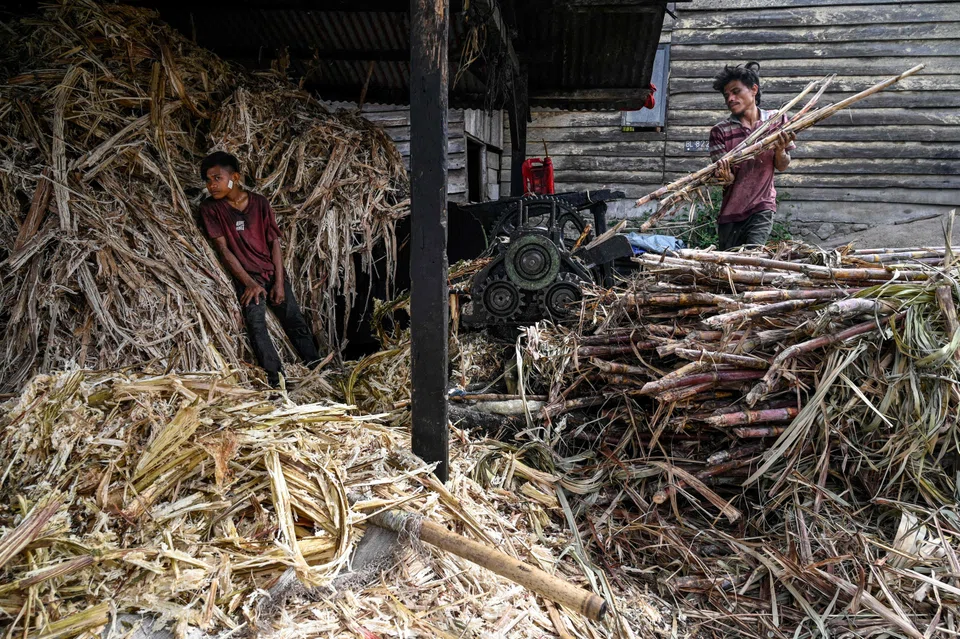 The president wants to expand Indonesia’s sugar cultivation area to 700,000 hectares and be self-sufficient in sugar in the next five years..