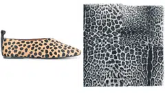 Igloo CEO Raunak Mehta wants to accelerate regional growth.