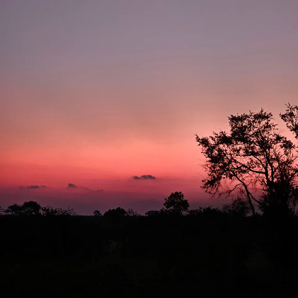 The South African savannah produces beautiful dawn and dusk landscapes.