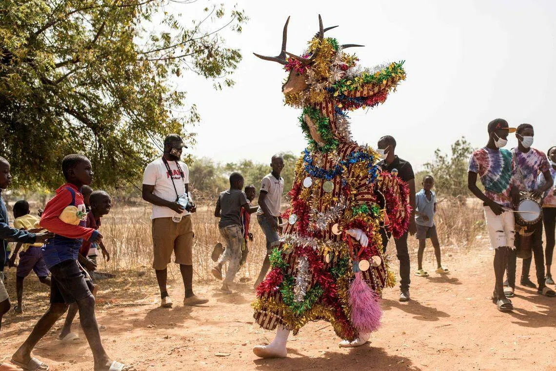Fairy masquerade dances to drums along the streets during the kankurang Festival in Janjanbureh. The Kankurang – a combination of the Mandinka words “kango” and “kurango” which literally translate as “voice” and “enforce” – has been listed by Unesco as Intangible Cultural Heritage since 2005.