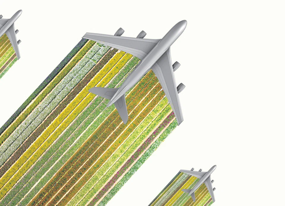 The industry is currently producing only 200,000 tonnes or 240 million litres of SAF a year: less than 0.1 per cent of the jet fuel consumed a year.