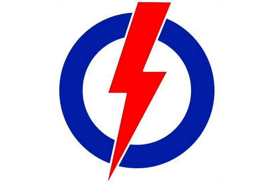 Four co-opted into PAP's top decision-making committee