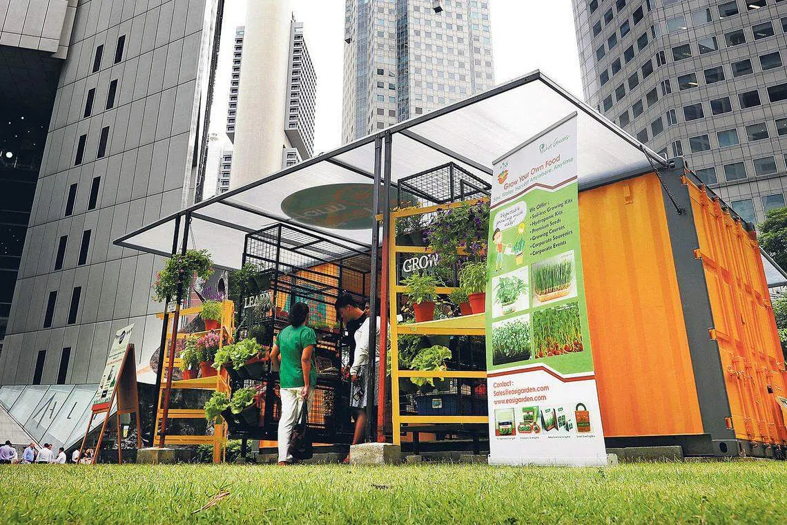 Down To Earth Heroes