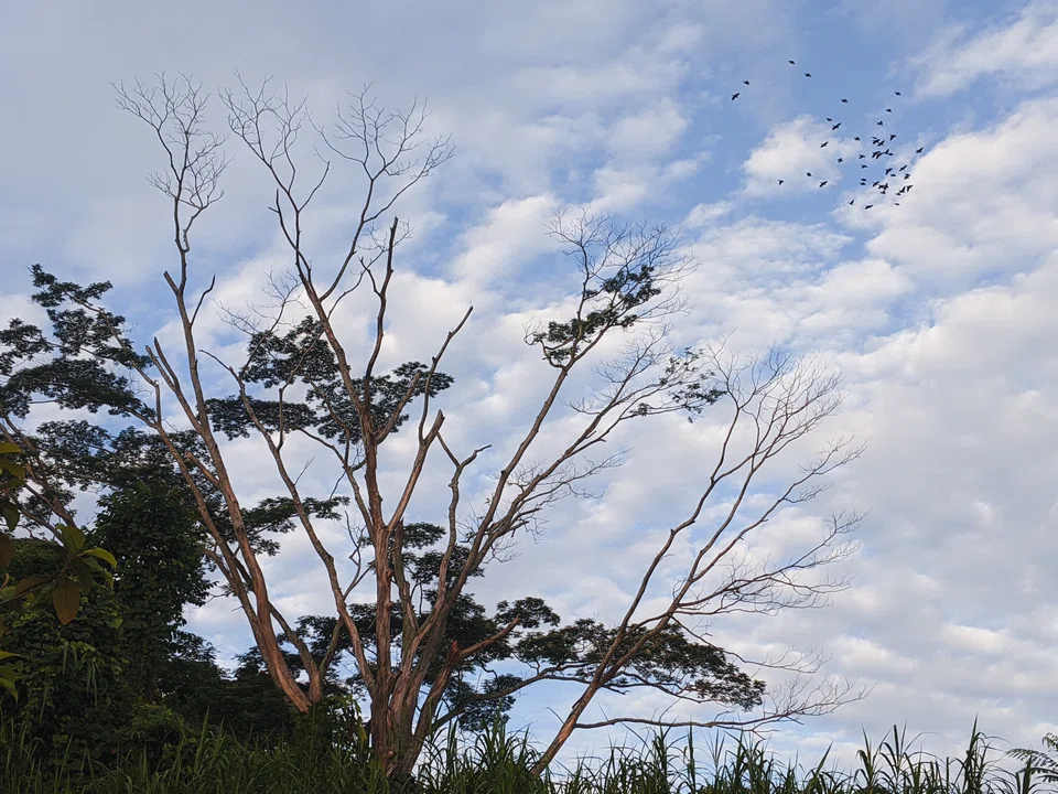 Life slows down a little amidst the farming community.