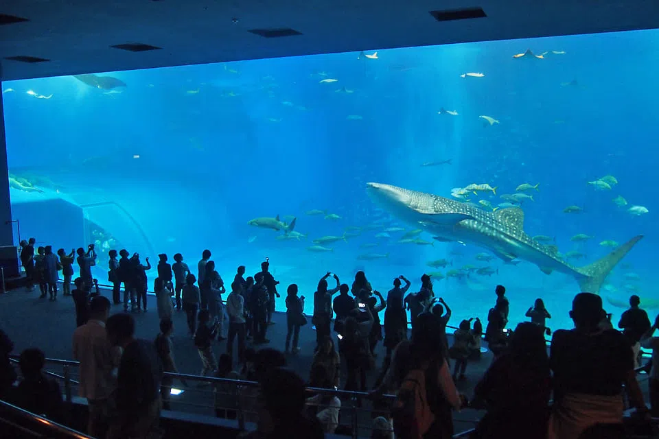 Japan's sparkling jewel in the south