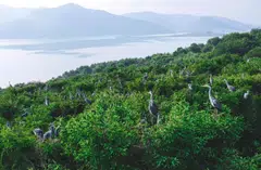 Carbon Growth Partners says its priority investments include nature-based climate solutions, renewable energy, and efficient household devices.