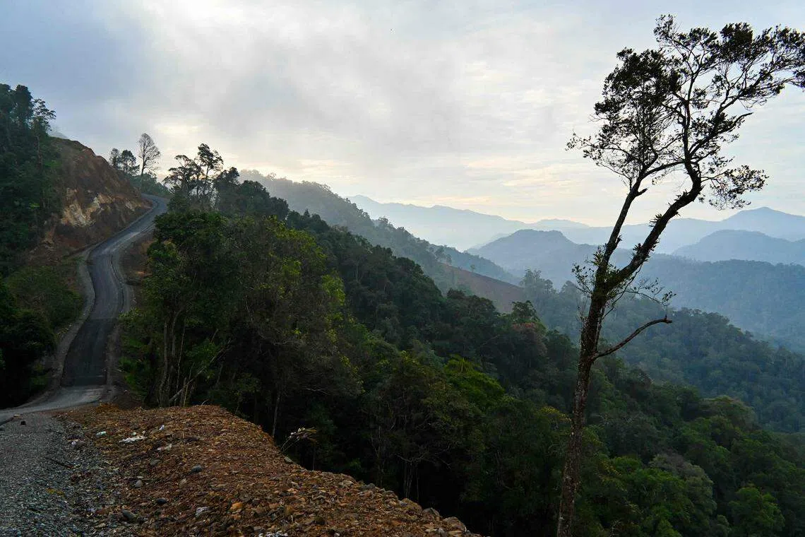 While Indonesia is not short on opportunities and ambition for decarbonisation, where it lacks is affordable financing, says its Coordinating Minister of Maritime and Investment Affairs Luhut Binsar Pandjaitanhe.