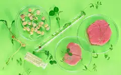 Alternative proteins are those that do not involve the slaughter of animals; they may be plant-based, fermented using microbes, or cultivated from animal cells.