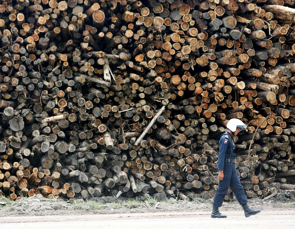 After jumping last year, prices for hardwood pulp in China have risen around 40 per cent this year to record levels due to supply disruptions, firm demand and new project delays.
