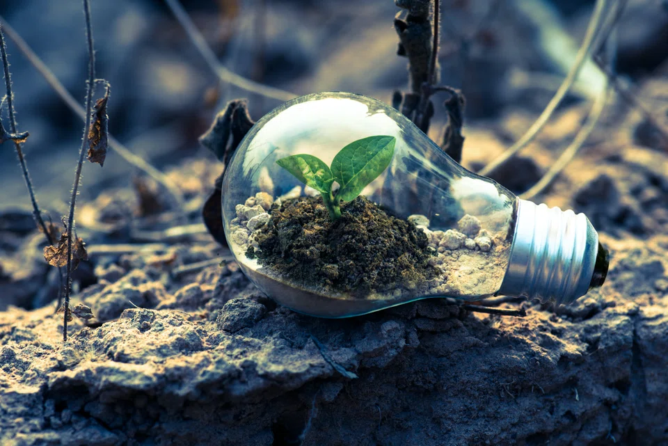 Every business is deeply intertwined with environmental, social, and governance (ESG) concerns and can contribute to business performance through investment and asset optimisation
