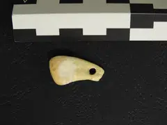 Scientists have recovered the DNA of a woman from the tooth, which was used as a pendant 19,000 to 25,000 years ago. 