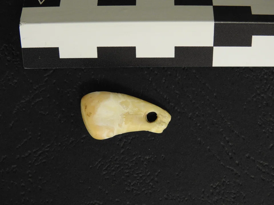 Scientists have recovered the DNA of a woman from the tooth, which was used as a pendant 19,000 to 25,000 years ago. 