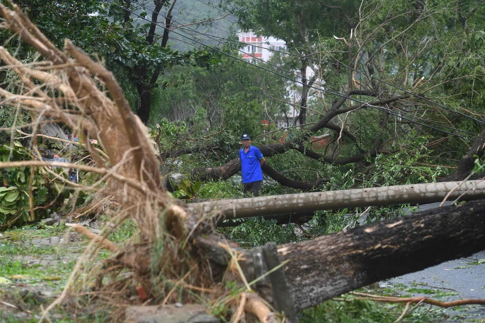 Typhoon Noru toppled more than 500 trees and the storm is the strongest to hit the country in two decades. 
