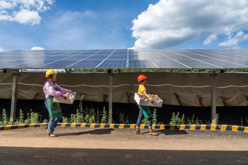 China is already the world's largest producer of renewable energy, with the capacity to generate some 679 gigawatts of wind and solar power plus another 390 gigawatts of hydropower.