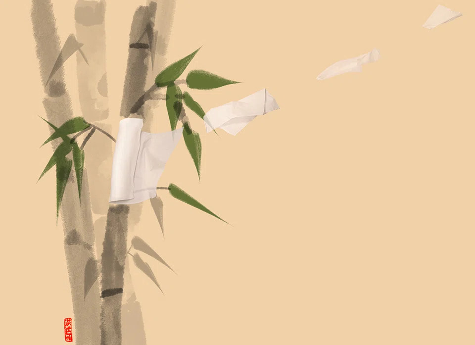 The rise and rise of bamboo tissue