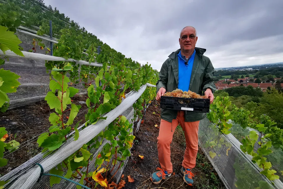Wine-maker Olivier Pucek says the climate in a part of France considered by many French to be dreary and desolate had held back vine growing, but that things were changing. 