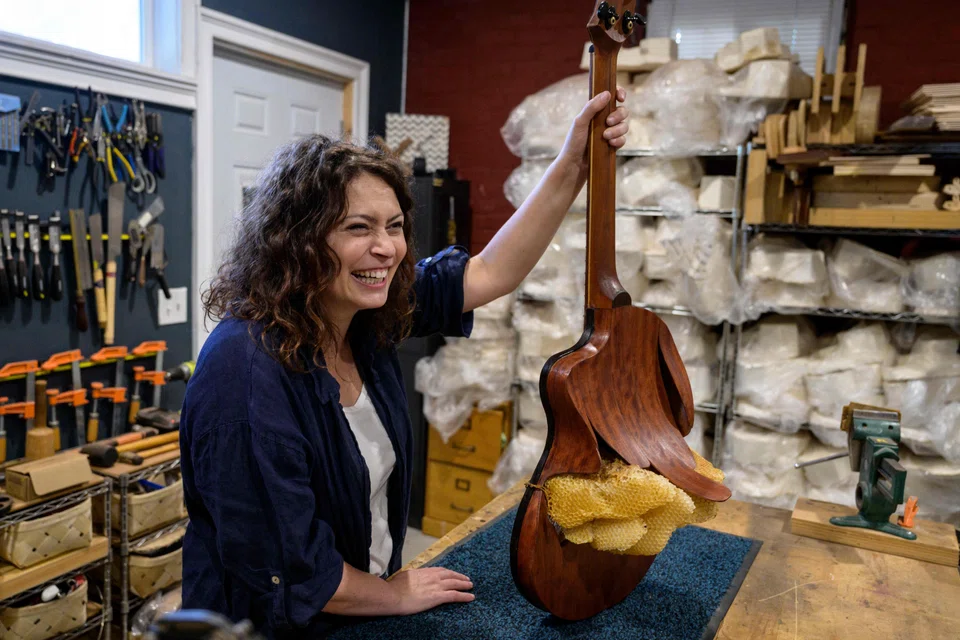French luthier Rachel Rosenkrantz holds her "Pawtuxet", a guitar made using honeycomb; she keeps bees, and has trained them to build an art piece of a guitar by providing them the instrument’s bracing – the part “that guides the sound and give some stiffness to the instrument”.