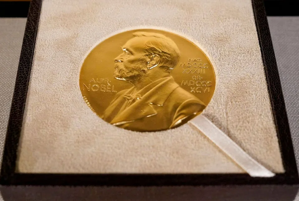 The nominations comprise 212 individuals and 93 organisations, the Oslo-based institute said on its website. 