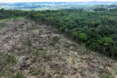 A deforested area near Uruara, Para State, Brazil, Jan 21, 2023.  A study estimates forests are storing 328 gigatons of carbon less than they would if untouched by human destruction.