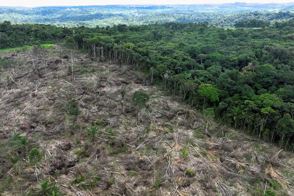 A deforested area near Uruara, Para State, Brazil, Jan 21, 2023.  A study estimates forests are storing 328 gigatons of carbon less than they would if untouched by human destruction.