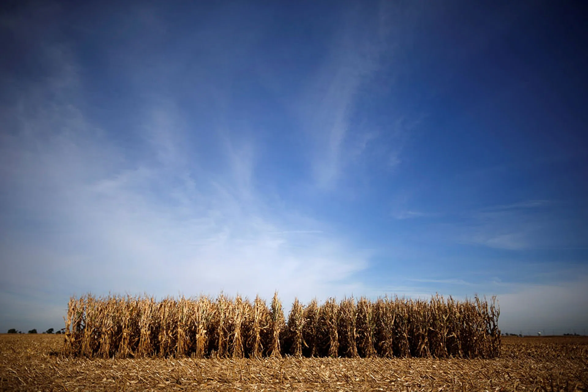The great corn clash is coming as US and Brazil farmers face off - The ...