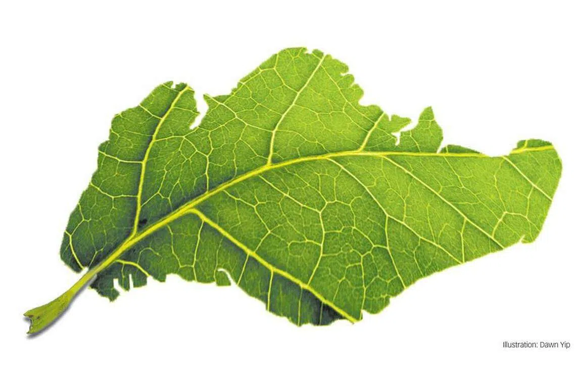 Going green: We can do a lot more