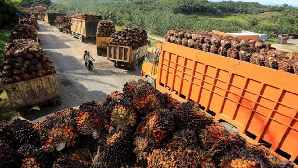 Indonesia, has issued export permits for 179,464 tonnes of palm oil as of June 2, a senior trade ministry official said on Thursday, after a ban on shipments was lifted last week.