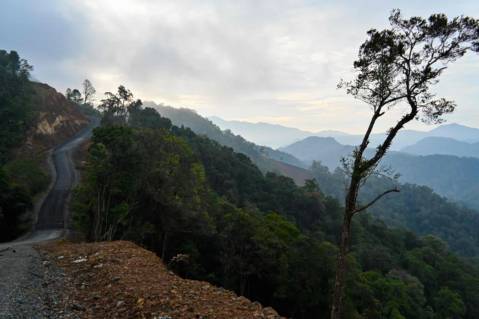 While Indonesia is not short on opportunities and ambition for decarbonisation, it lacks affordable financing, says its Coordinating Minister of Maritime and Investment Affairs Luhut Binsar Pandjaitan.