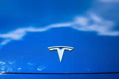 Tesla has expressed an interest in building a factory in India that would produce low-cost electric vehicles (EVs) for the local market and for export.