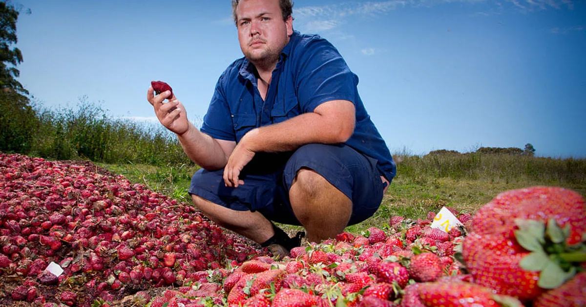 Australia raises jail terms for food tampering to 15 years - The ...