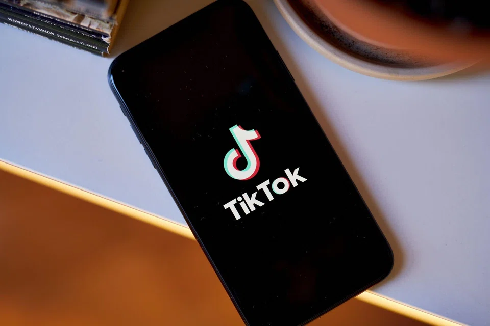 TikTok has come under increasing scrutiny due to fears that user data from the app owned by Beijing-based company ByteDance could end up in the hands of the Chinese government, undermining Western security interests.