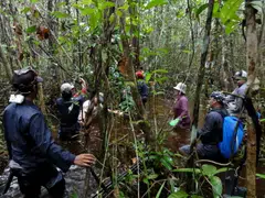An audit team at the Rimba Raya Biodiversity Reserve, in Central Kalimantan, Indonesia. The carbon project associated with the forest is among 11 projects that will form CIX's new nature-based standardised contracts' delivery basket.