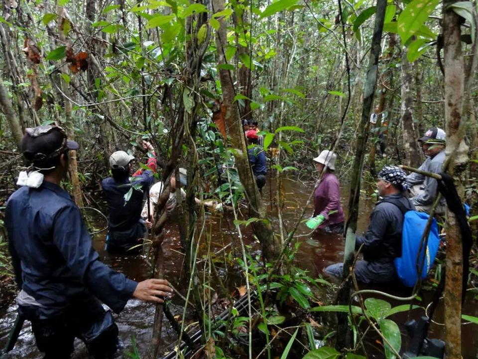 An audit team at the Rimba Raya Biodiversity Reserve, in Central Kalimantan, Indonesia. The carbon project associated with the forest is among 11 projects that will form CIX's new nature-based standardised contracts' delivery basket.