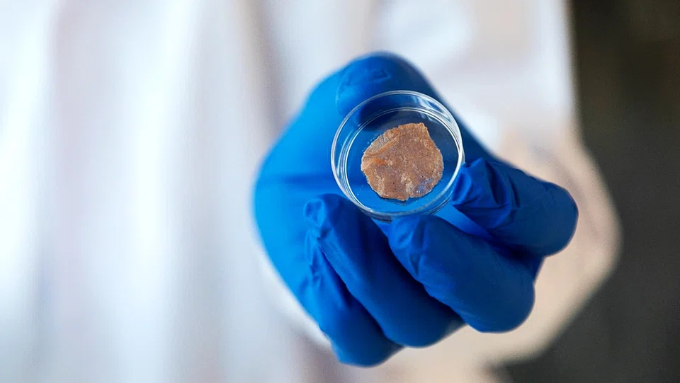 France's proposed ban applies only to products made and sold in France. It bans a list of 21 meat names to describe protein-based products, including “steak”, “escalope”, “spare ribs”, “ham” or “butcher”.  Above: Lab-cultured "pork".