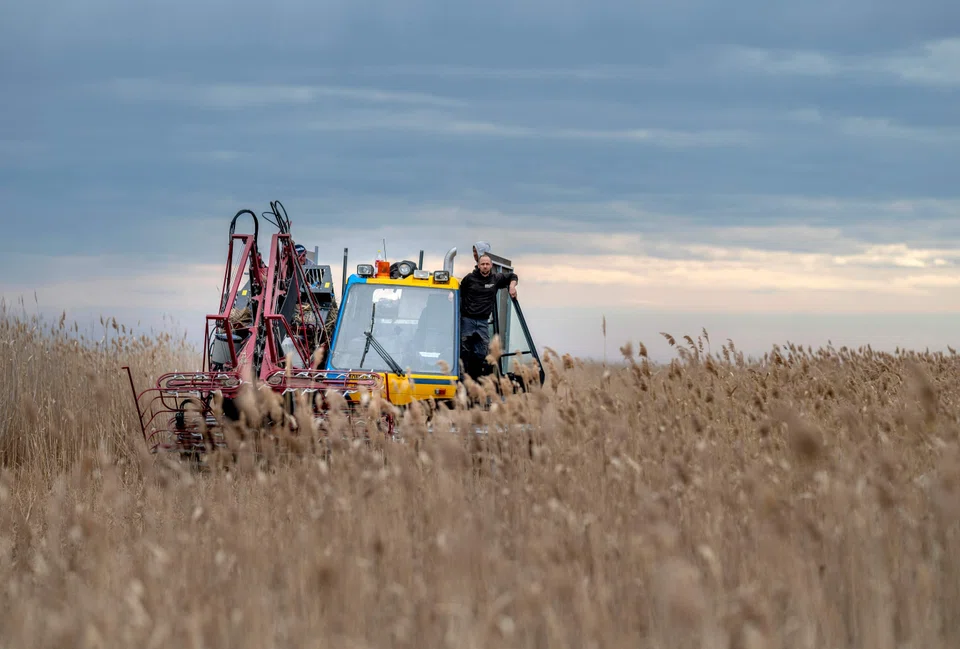 The greatest unmet need is in agriculture and forestry at 11 million jobs, says a WEF study, with other key sectors including infrastructure at 480,000 jobs, government at 160,000 and energy at 50,000.