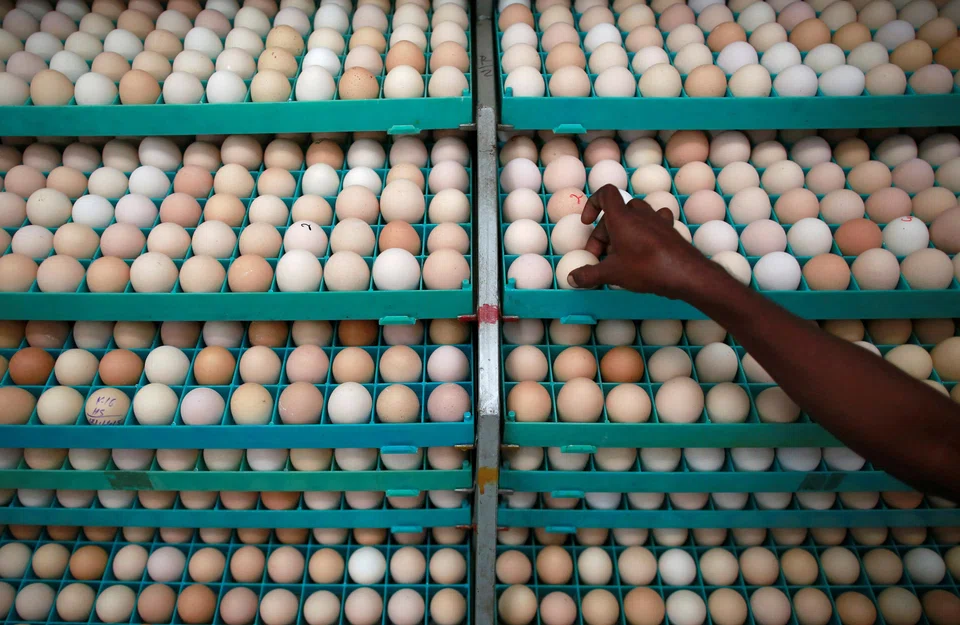 India shipped 5 million eggs to Malaysia in December, and will ship 10 million in January and up to 15 million in February.