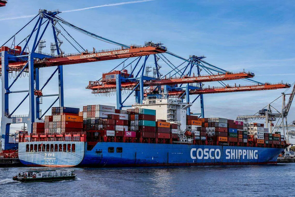 The board did not propose a dividend this year, just as was the case in FY22.