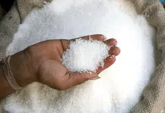 Wilmar believes its sugar merchandising, milling and refining business will remain “good” till year-end on higher sugar prices.