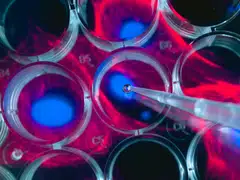 Clovis says it has liabilities of between US$500 million and US$1 billion.