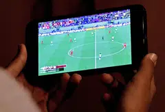 The websites were shut down after a Fifa representative identified sites being used to distribute copyright-infringing content without the authorisation of the soccer world governing body.