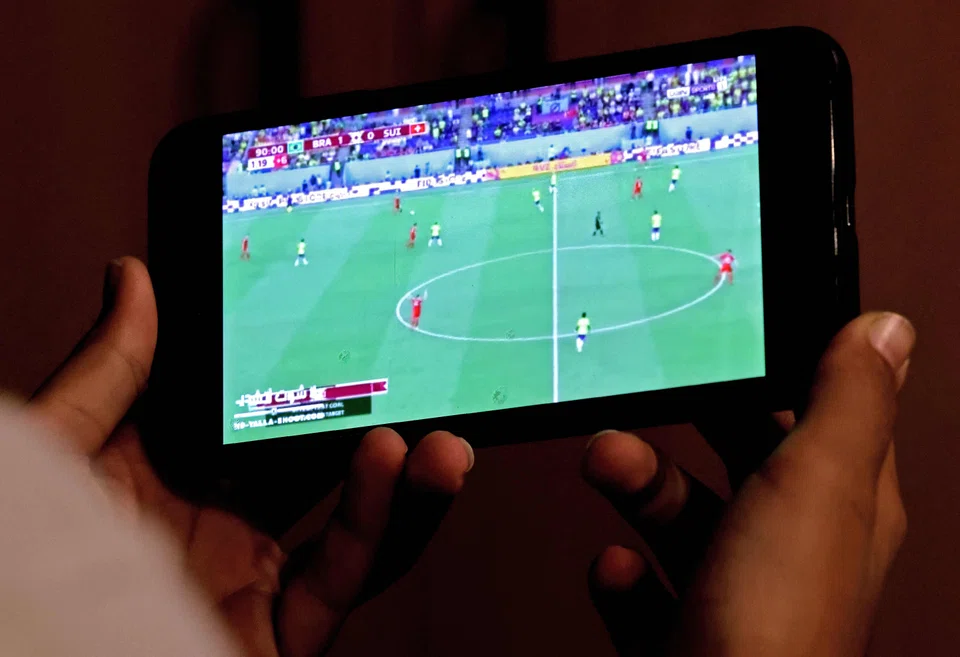 The websites were shut down after a Fifa representative identified sites being used to distribute copyright-infringing content without the authorisation of the soccer world governing body.