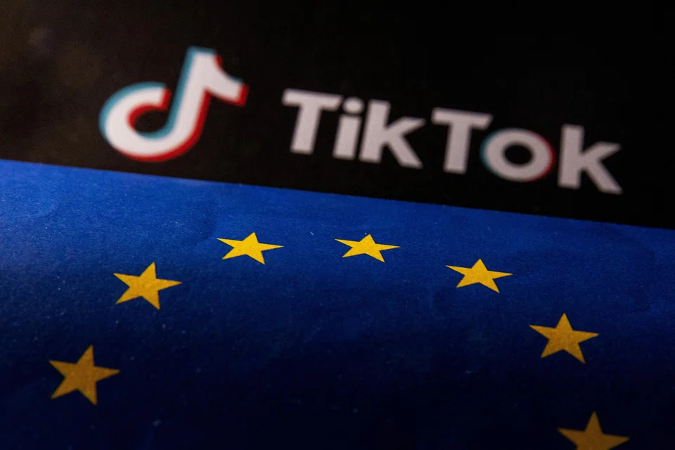 TikTok's "election centres" are designed to better inform Europeans about the electoral process.