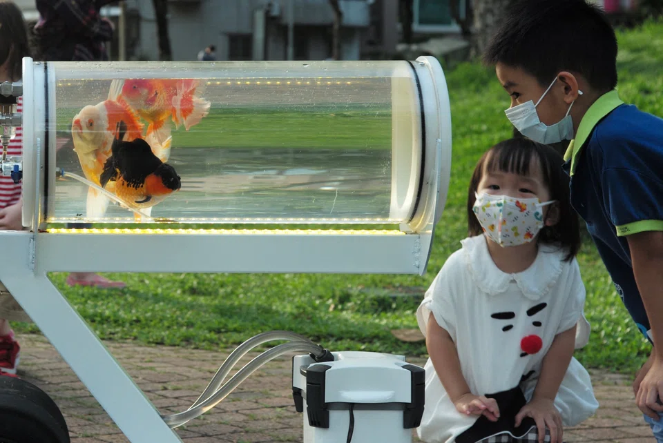 Children look at a fish tank trolley at a park in Taichung, central Taiwan, on May 19, 2022. 