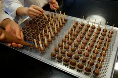 According to Rabobank’s estimates for 2022, Indonesia, Malaysia and Singapore are major cocoa processing locations in the region. 